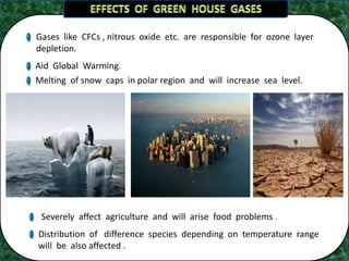 Gases like CFCs , nitrous oxide etc. are responsible for ozone layer
depletion.
Melting of snow caps in polar region and will increase sea level.
Severely affect agriculture and will arise food problems .
Distribution of difference species depending on temperature range
will be also affected .
Aid Global Warming.
