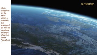 Environmental Biology | PPTX