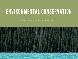 Why You Should Contribute to Environmental Conservation