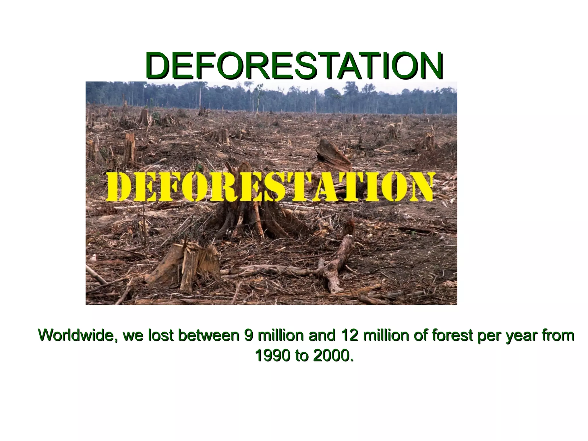 DEFORESTATIONDEFORESTATION
Worldwide, we lost between 9 million and 12 million of forest per year fromWorldwide, we lost between 9 million and 12 million of forest per year from
1990 to 2000.1990 to 2000.
 