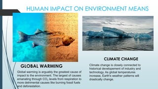 Environment Cause Environment and it causes | PDF