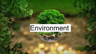 Environment
 