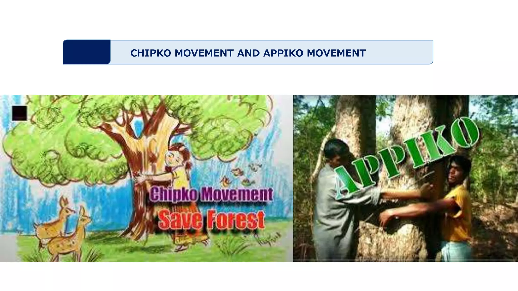 Environment - Definition and Functions | PPTX