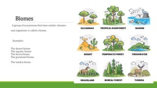 Environment and atmosphere of earth.pptx