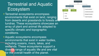 Array Ecosystems Environment Education/Earth Education.pptx