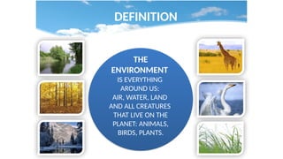 DEFINITION
THE
ENVIRONMENT
IS EVERYTHING
AROUND US:
AIR, WATER, LAND
AND ALL CREATURES
THAT LIVE ON THE
PLANET: ANIMALS,
BIRDS, PLANTS.
 