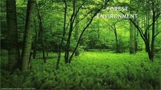 FOREST
ENVIRONMENT
 