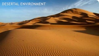 DESERTAL ENVIRONMENT
 