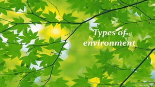 Types of
environment
 