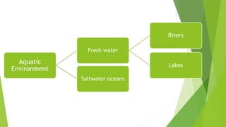 Aquatic
Environment
Fresh water
Rivers
Lakes
Saltwater oceans
 