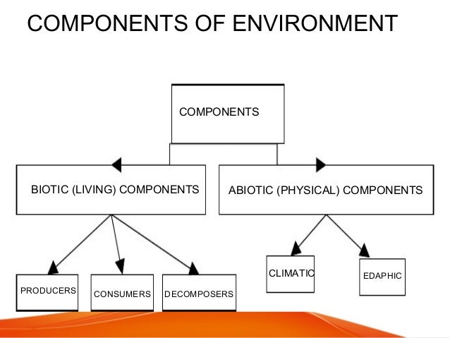 Nature and Components Of