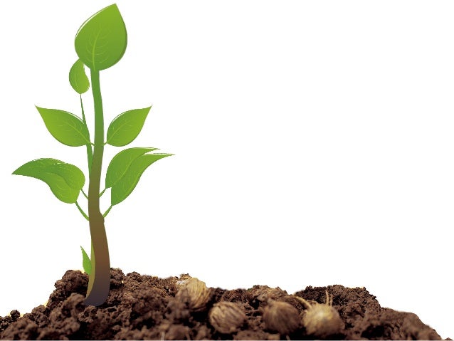 environment ppt template 021 environment ppt templates