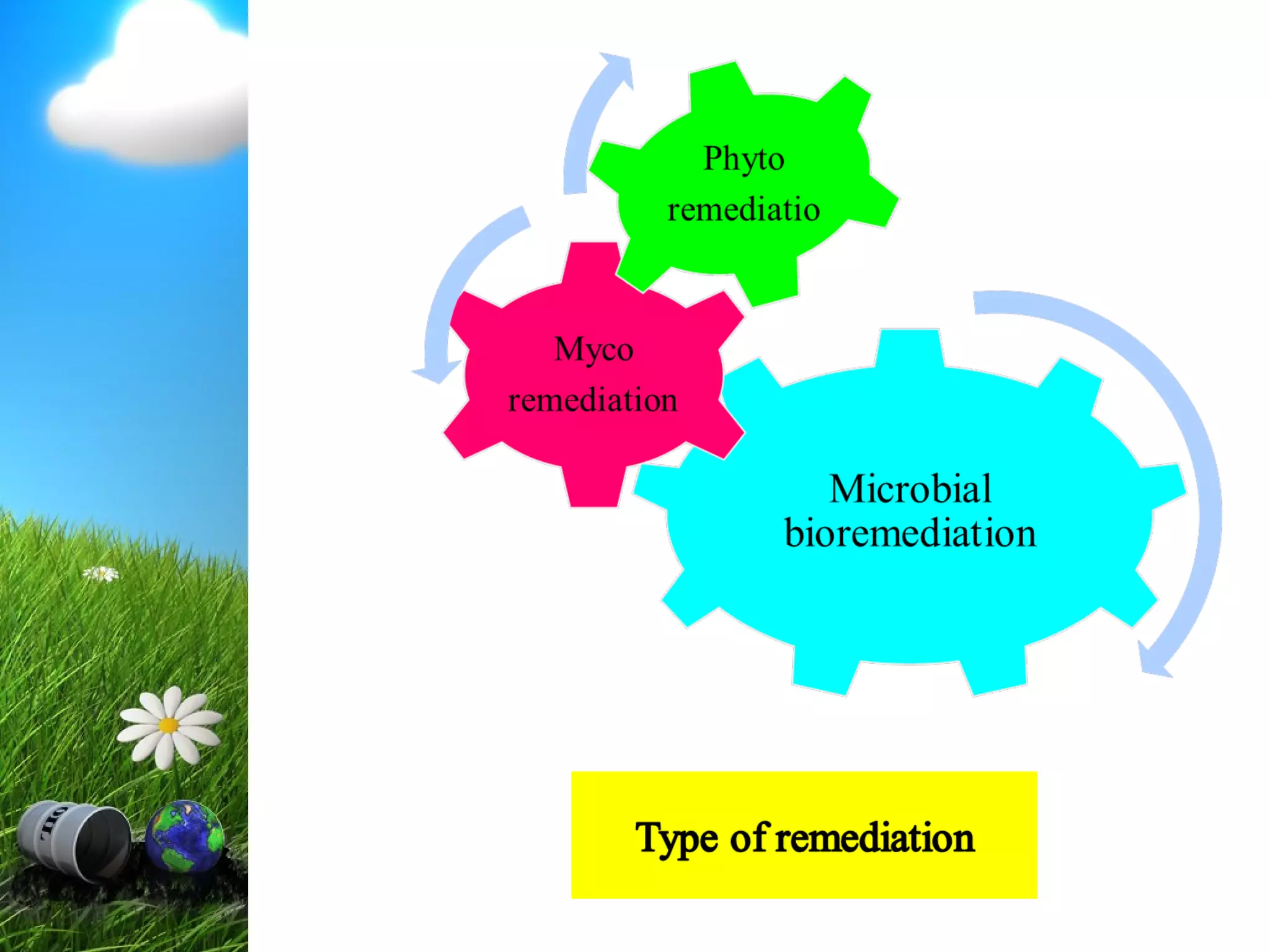 Bioremediation of petroleum hydrocarbons in contaminated soil | PPT