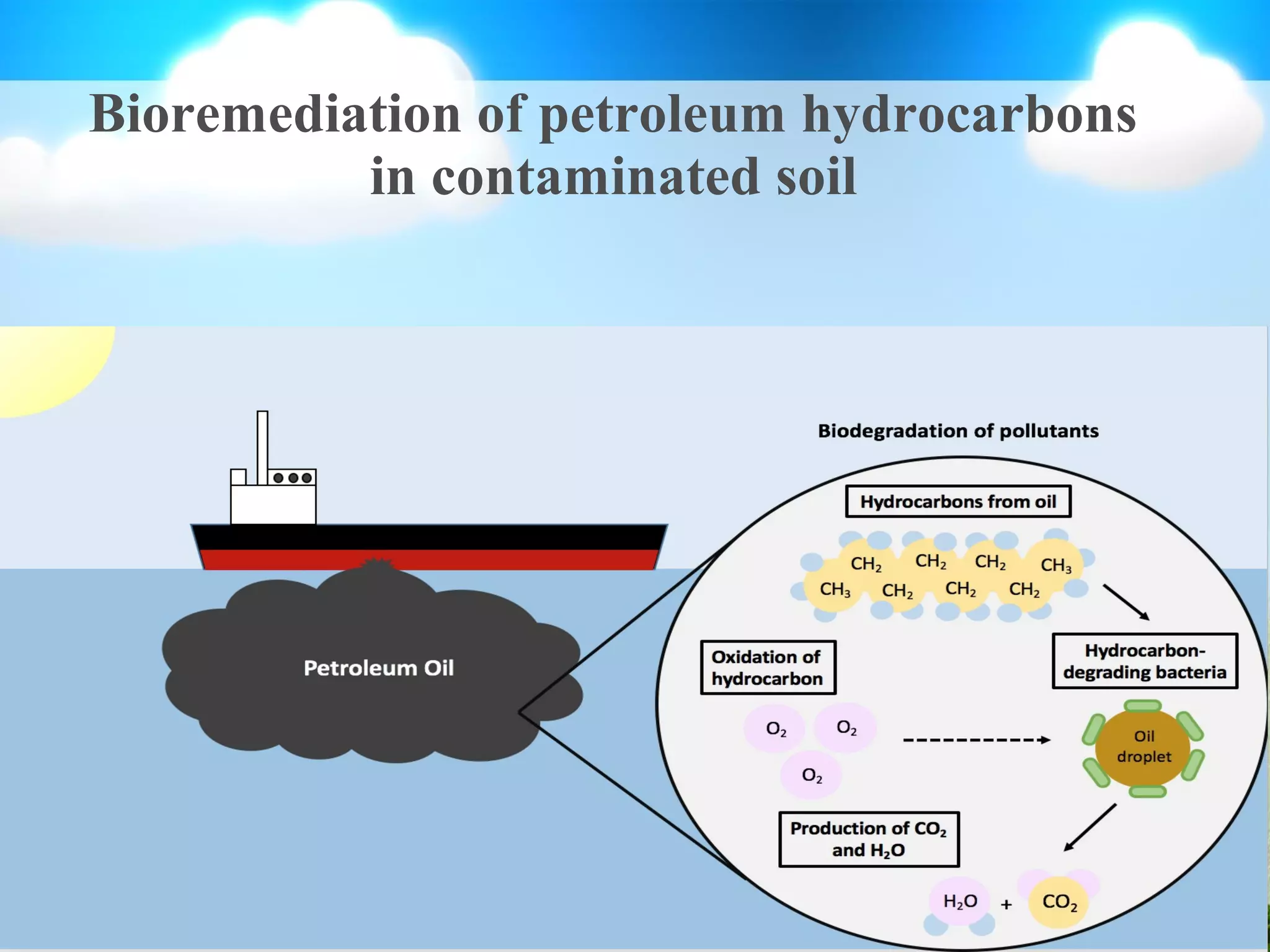 Bioremediation of petroleum hydrocarbons in contaminated soil | PPT