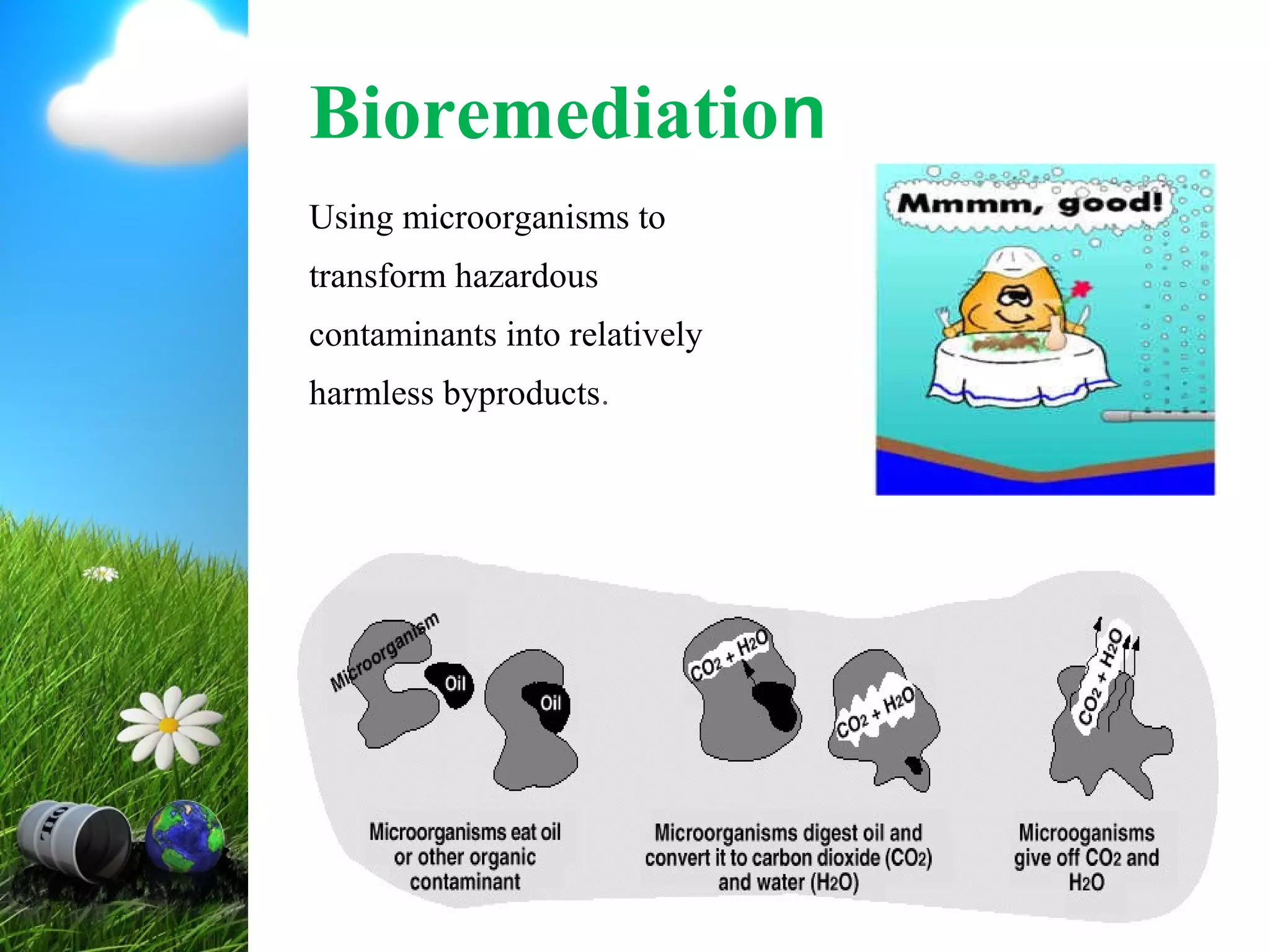 Bioremediation of petroleum hydrocarbons in contaminated soil | PPT