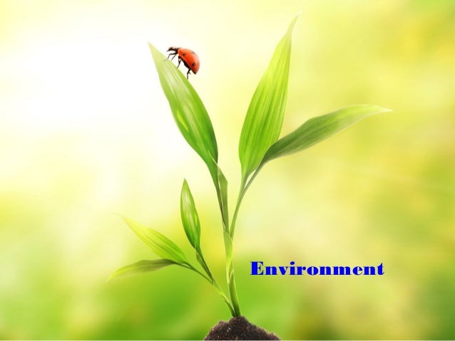 environment-ppt-template