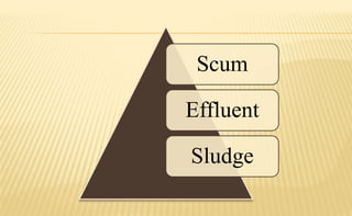 Scum
Effluent
Sludge
 