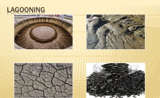LAGOONING
 