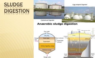 SLUDGE
DIGESTION
 