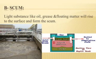 B- SCUM:
Light substance like oil, grease &floating matter will rise
to the surface and form the scum.
 