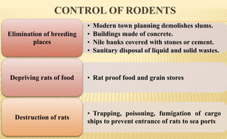 CONTROL OF RODENTS
• Modern town planning demolishes slums.
• Buildings made of concrete.
• Nile banks covered with stones or cement.
• Sanitary disposal of liquid and solid wastes.
Elimination of breeding
places
• Rat proof food and grain storesDepriving rats of food
• Trapping, poisoning, fumigation of cargo
ships to prevent entrance of rats to sea ports
Destruction of rats
 