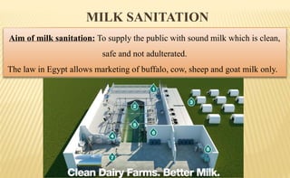 MILK SANITATION
Aim of milk sanitation: To supply the public with sound milk which is clean,
safe and not adulterated.
The law in Egypt allows marketing of buffalo, cow, sheep and goat milk only.
 