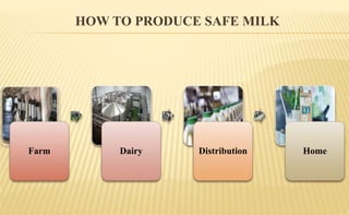 HOW TO PRODUCE SAFE MILK
Farm Dairy Distribution Home
 