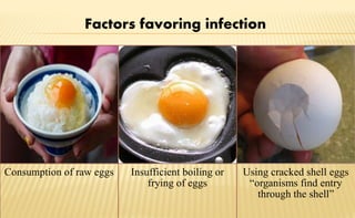 Consumption of raw eggs Insufficient boiling or
frying of eggs
Using cracked shell eggs
“organisms find entry
through the shell”
Factors favoring infection
 