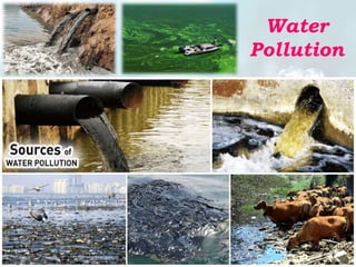 Water
Pollution
 
