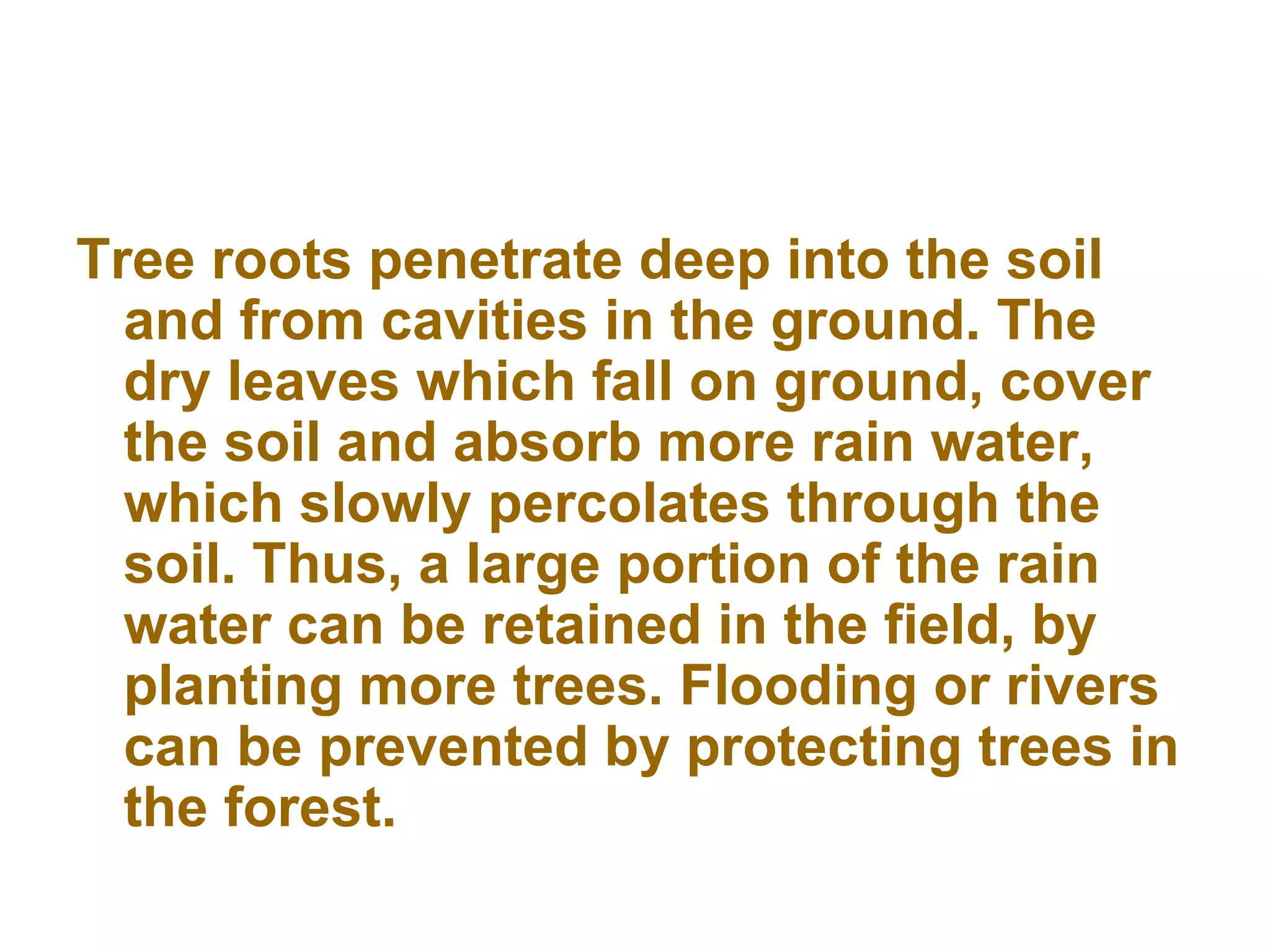 Tree roots penetrate deep into the soil and from cavities in the ground. The dry leaves which fall on ground, cover the soil and absorb more rain water, which slowly percolates through the soil. Thus, a large portion of the rain water can be retained in the field, by planting more trees. Flooding or rivers can be prevented by protecting trees in the forest.  