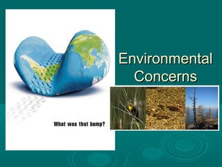 EnvironmentalEnvironmental
ConcernsConcerns
 
