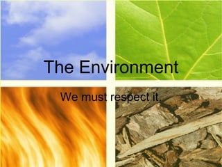 The Environment We must respect it. 