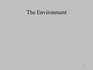 The Environment 
1 
 