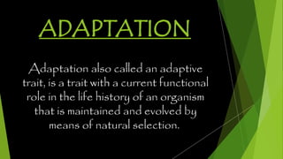 ADAPTATION
Adaptation also called an adaptive
trait, is a trait with a current functional
role in the life history of an organism
that is maintained and evolved by
means of natural selection.