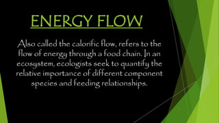 ENERGY FLOW
Also called the calorific flow, refers to the
flow of energy through a food chain. In an
ecosystem, ecologists seek to quantify the
relative importance of different component
species and feeding relationships.