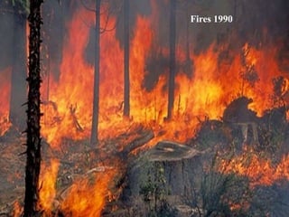 Fires 1990
 