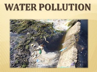 WATER POLLUTION
 