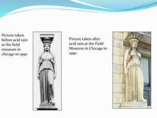 Picture taken after
acid rain at the Field
Museum in Chicago in
1990
Picture taken
before acid rain
at the field
museum in
chicago in 1990
 