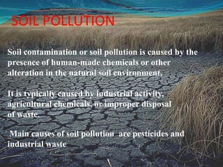 SOIL POLLUTION
Soil contamination or soil pollution is caused by the
presence of human-made chemicals or other
alteration in the natural soil environment.
It is typically caused by industrial activity,
agricultural chemicals, or improper disposal
of waste.
Main causes of soil pollution are pesticides and
industrial waste
 