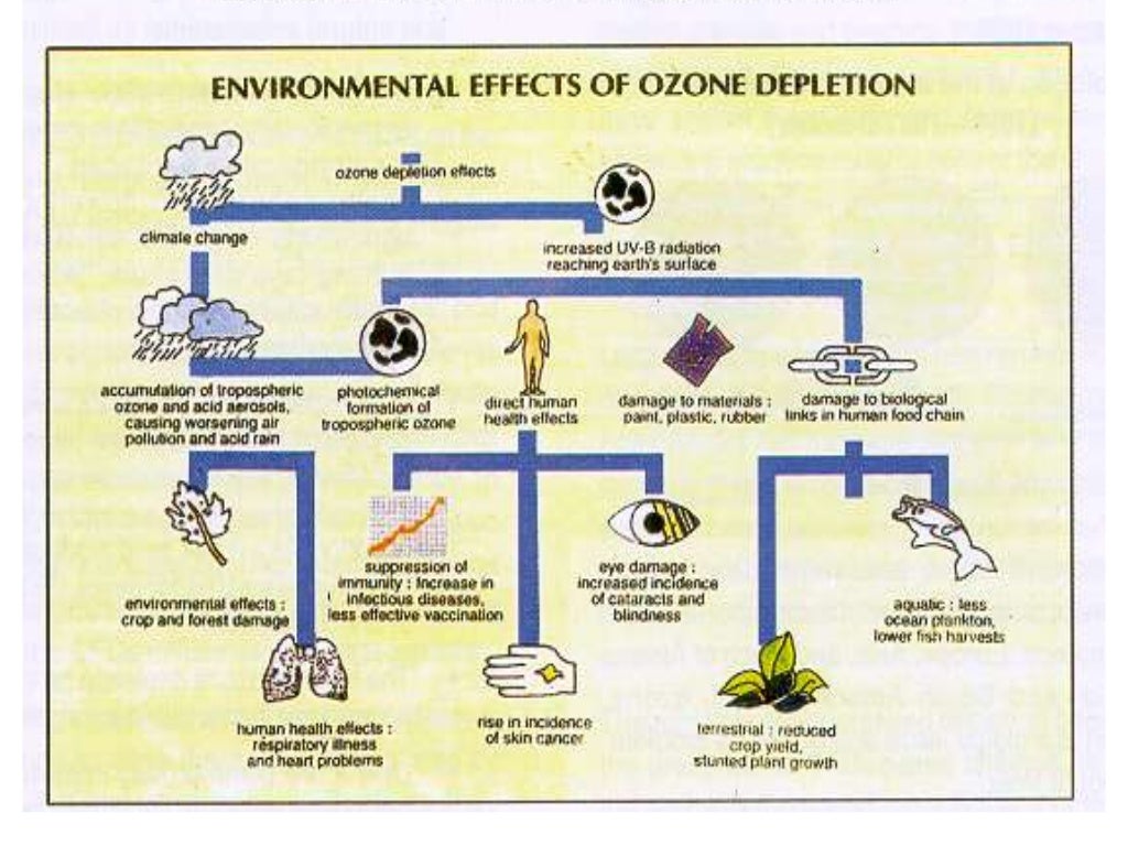 Environmental chemistry
