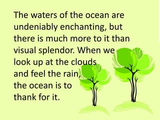 The waters of the ocean are
undeniably enchanting, but
there is much more to it than
visual splendor. When we
look up at the clouds
and feel the rain,
the ocean is to
thank for it.
 