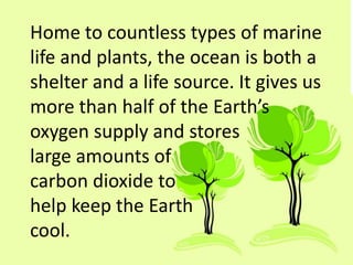 Home to countless types of marine
life and plants, the ocean is both a
shelter and a life source. It gives us
more than half of the Earth’s
oxygen supply and stores
large amounts of
carbon dioxide to
help keep the Earth
cool.
 
