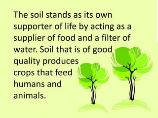 The soil stands as its own
supporter of life by acting as a
supplier of food and a filter of
water. Soil that is of good
quality produces
crops that feed
humans and
animals.
 