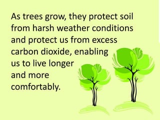 As trees grow, they protect soil
from harsh weather conditions
and protect us from excess
carbon dioxide, enabling
us to live longer
and more
comfortably.
 