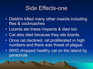 Side Effects-one Dieldrin killed many other insects including flies & cockroaches Lizards ate these inspects & died too. Cat also died because they ate lizards. Once cat declined, rat proliferated in high numbers and there was threat of plague. WHO dropped healthy cat on the island by parachute 