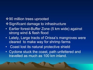 90 million trees uprooted Significant damage to infrastructure Earlier forest-Buffer Zone (5 km wide) against strong wind & flash flood Lately, Large tracts of Orissa’s mangroves were cleared  to make way for shrimp farms Coast lost its natural protective shield  Cyclone stuck the coast, path unfettered and travelled as much as 100 km inland. 