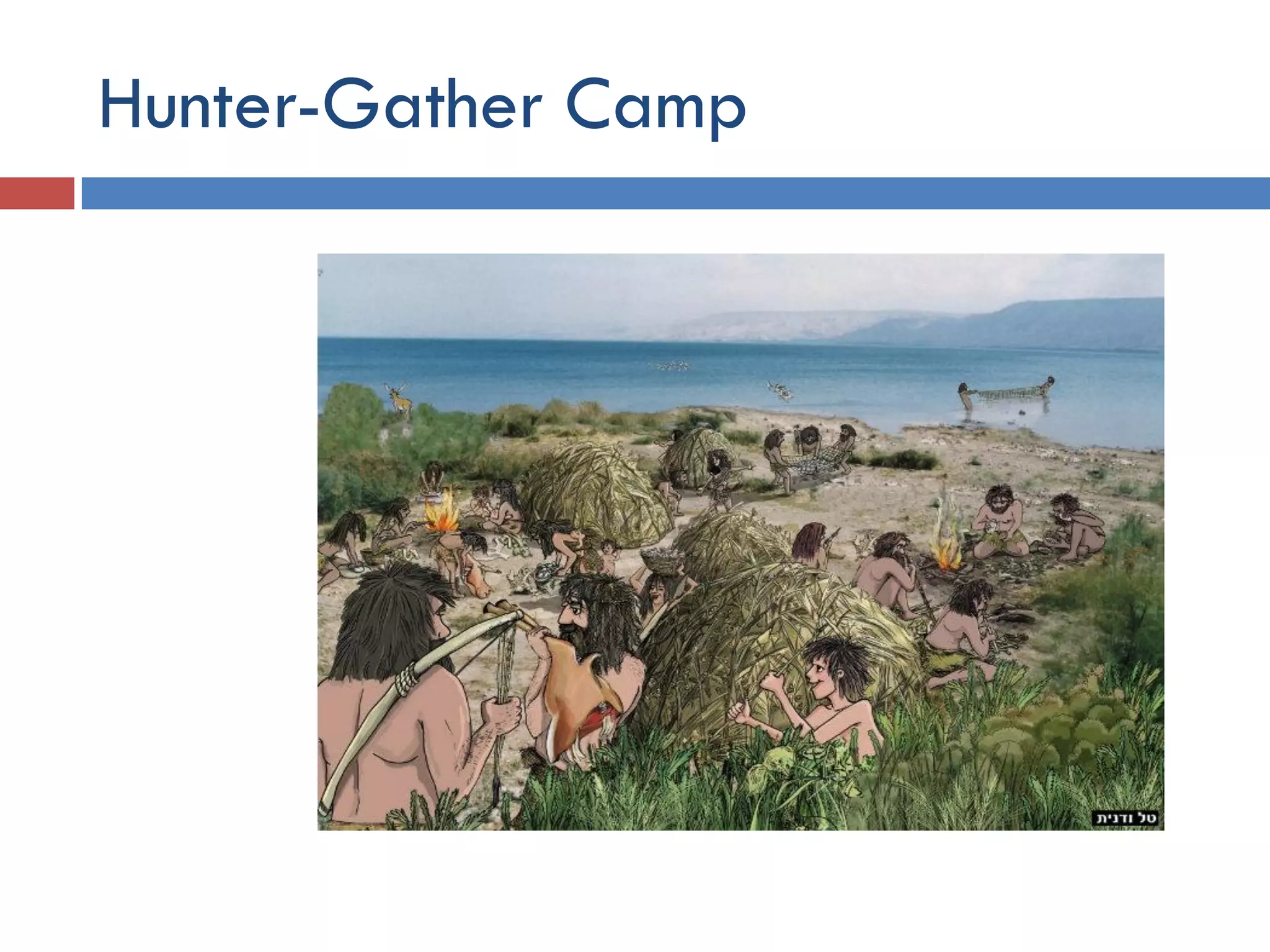 Environmental History