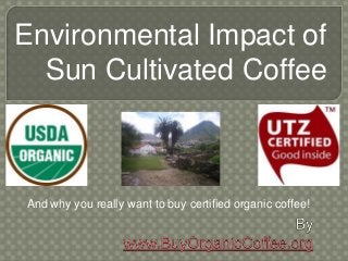 Environmental Impact of
Sun Cultivated Coffee
And why you really want to buy certified organic coffee!
 