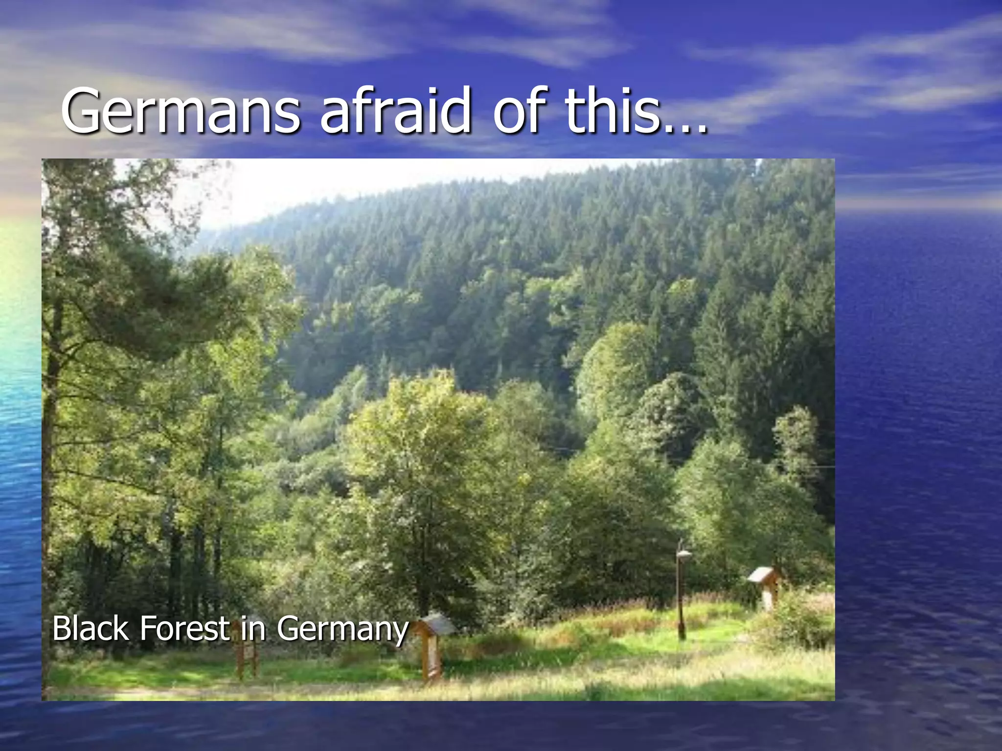 Germans afraid of this…
Black Forest in Germany
 
