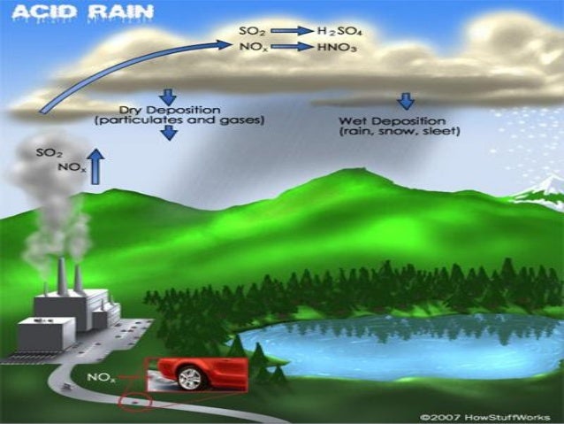 the acid rain issue essay the acid rain issue essay